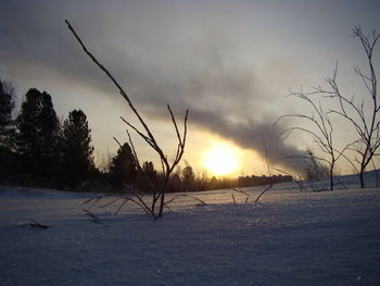 Bare trees on snow field against sky during sunset