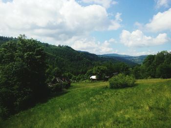 Scenic view of field and trees against sky