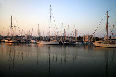 Sailboats moored at harbor