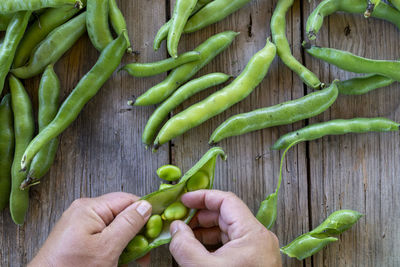 High angle view of hand holding vegetables