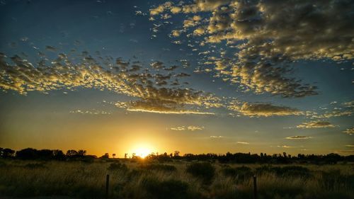 Scenic view of field against sky during sunset