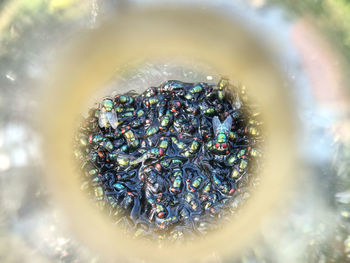 High angle view of multi colored water on rock