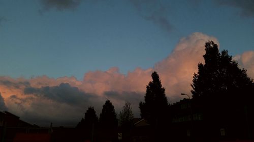 Low angle view of trees against sky at sunset