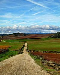 Road passing through field