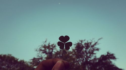 Person holding heart shape against sky