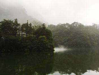 Reflection of trees in lake