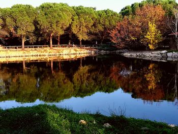 Scenic view of lake by trees