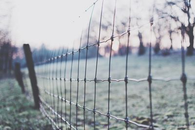 Close-up of chainlink fence