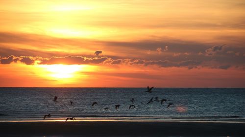 Silhouette of people on beach at sunset