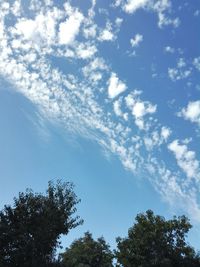 Low angle view of trees against blue sky