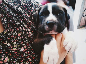 Close-up portrait of woman with puppy at home