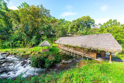 Thatched roof footbridge over river in forest