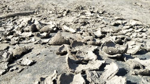 High angle view of stones on sand