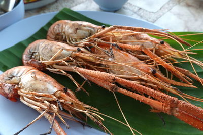 Close-up of grilled shrimp in a seafood restaurant