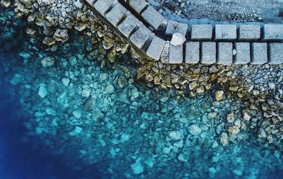 High angle view of crocodile in sea