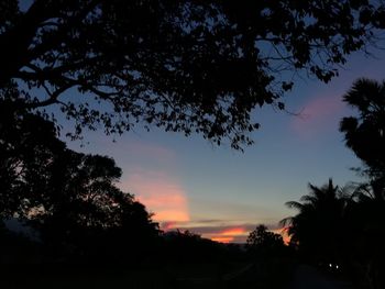 Low angle view of silhouette trees against sky during sunset