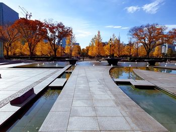 Footpath in park during autumn