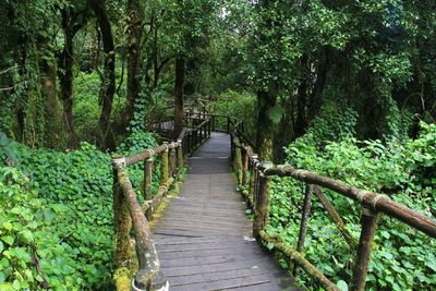 Rear view of man walking on footbridge