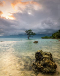 Scenic view of sea against sky