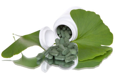 Close-up of white rose on leaves