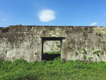 Grass growing on field against abandoned house