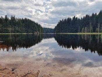 Scenic view of lake in forest against sky