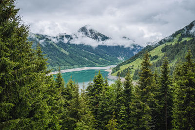 Scenic view of trees and mountains against sky