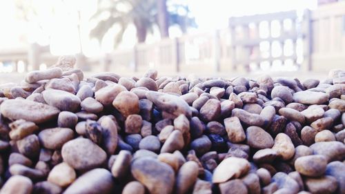 Close-up view of stones