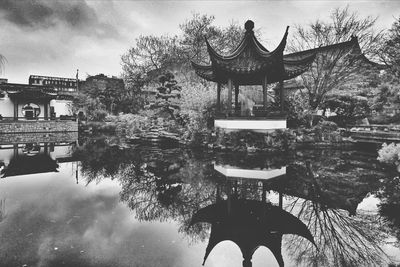 Reflection of trees in water
