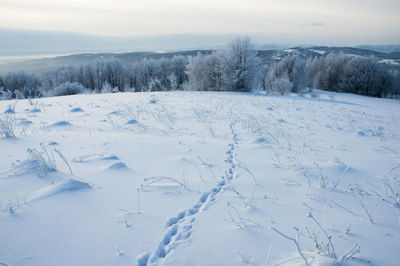 Frosty day on the top of the mountain