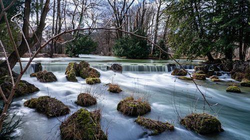 Stream flowing through rocks in forest