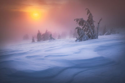 Scenic view of snow covered land against sky during sunset