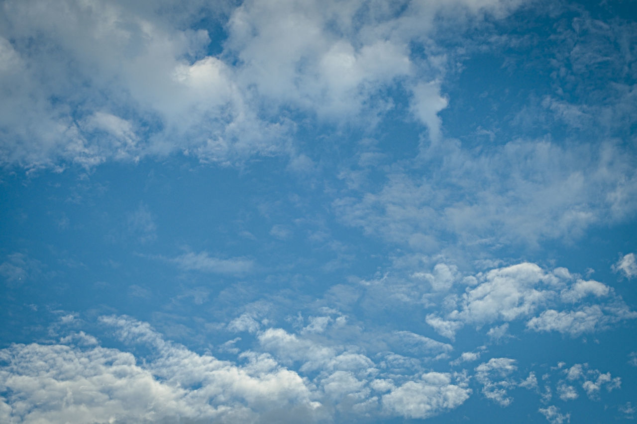 LOW ANGLE VIEW OF CLOUDY SKY