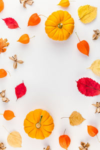 High angle view of orange leaves on white background