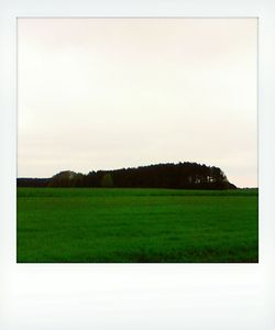 Scenic view of grassy field against sky