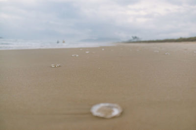 Close-up of sand on beach against sky