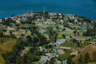 High angle view of buildings and trees in city