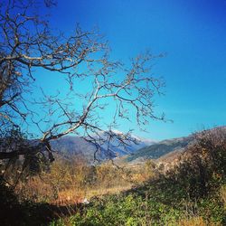 Scenic view of landscape against clear blue sky