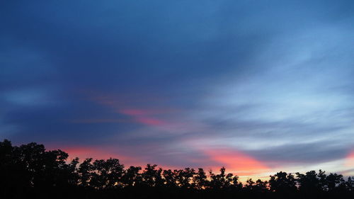 Low angle view of silhouette trees against sky during sunset