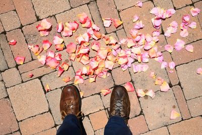 Low section of man standing by petals on footpath during sunny day