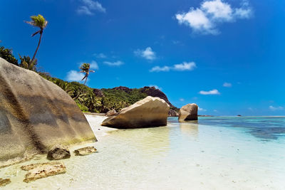 Rocks on beach against sky