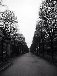 Empty road along trees