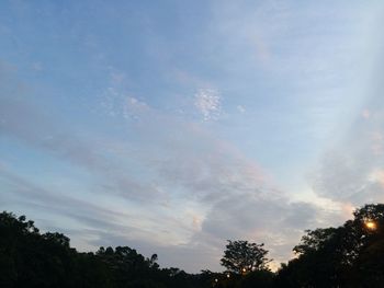 Low angle view of trees against sky