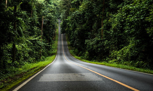 Road amidst trees in forest