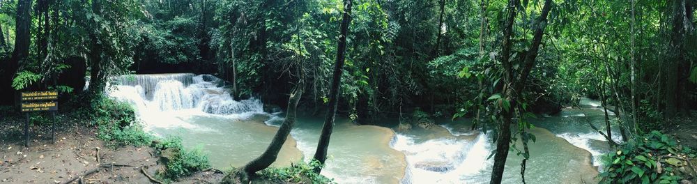 Scenic view of waterfall in forest