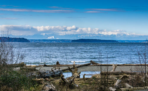 Olympic mountains from burien.