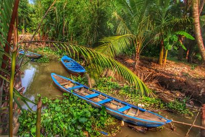 Scenic view of lake amidst trees in forest