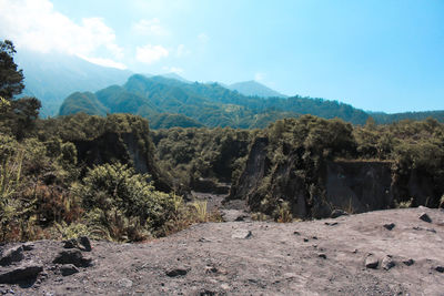 Scenic view of landscape and mountains against sky