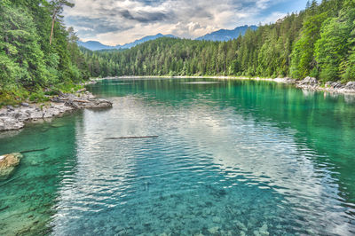 Scenic view of lake in forest against sky