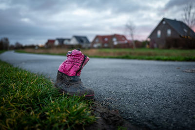 Rear view of girl with pink umbrella on field against sky